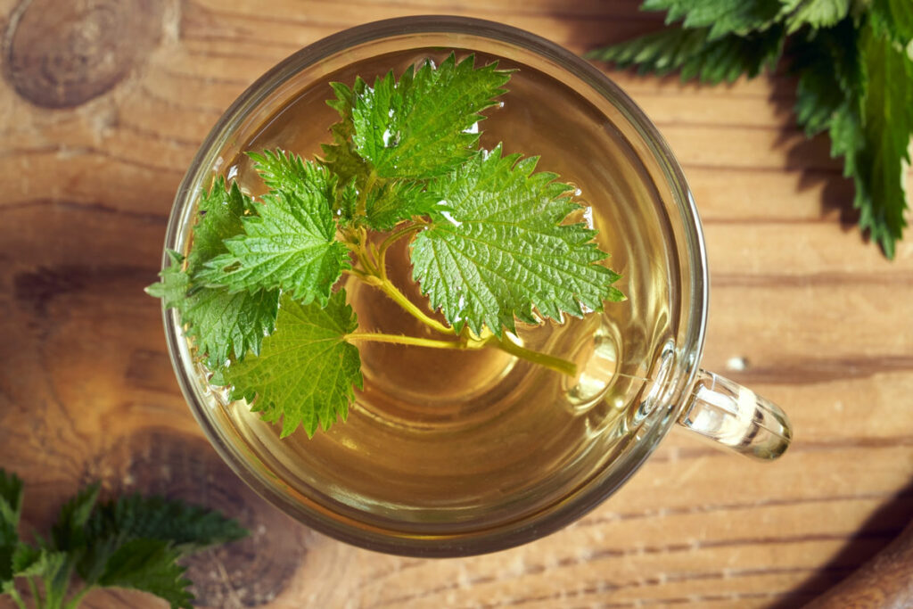 Overhead view of a glass mug with nettle leaf tea.
