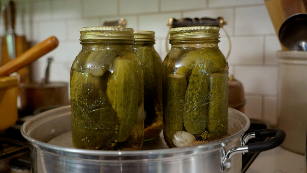 Pickles in a jar in a steam canner.