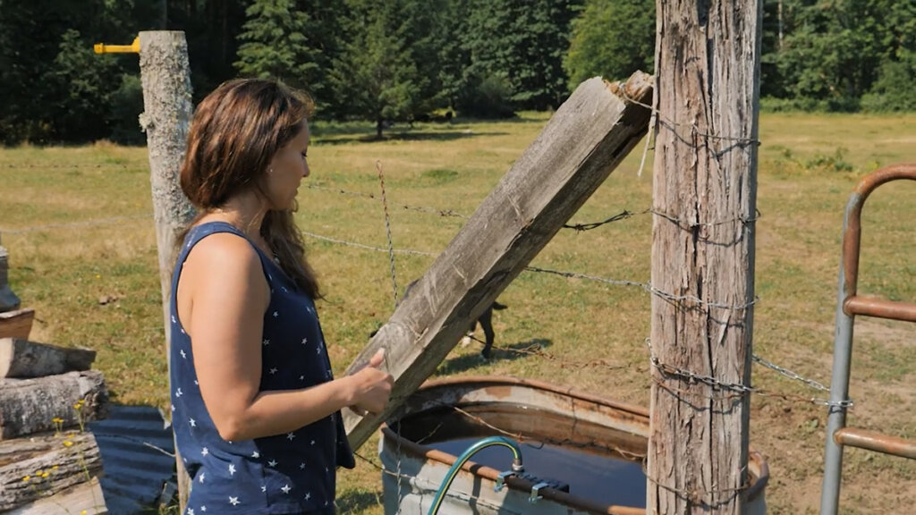 A woman filling a water trough for animals.