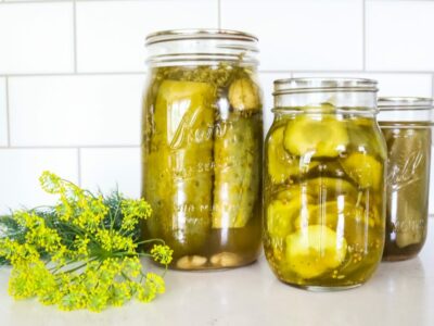 placing dill in mason jar crunchy dill pickles on table
