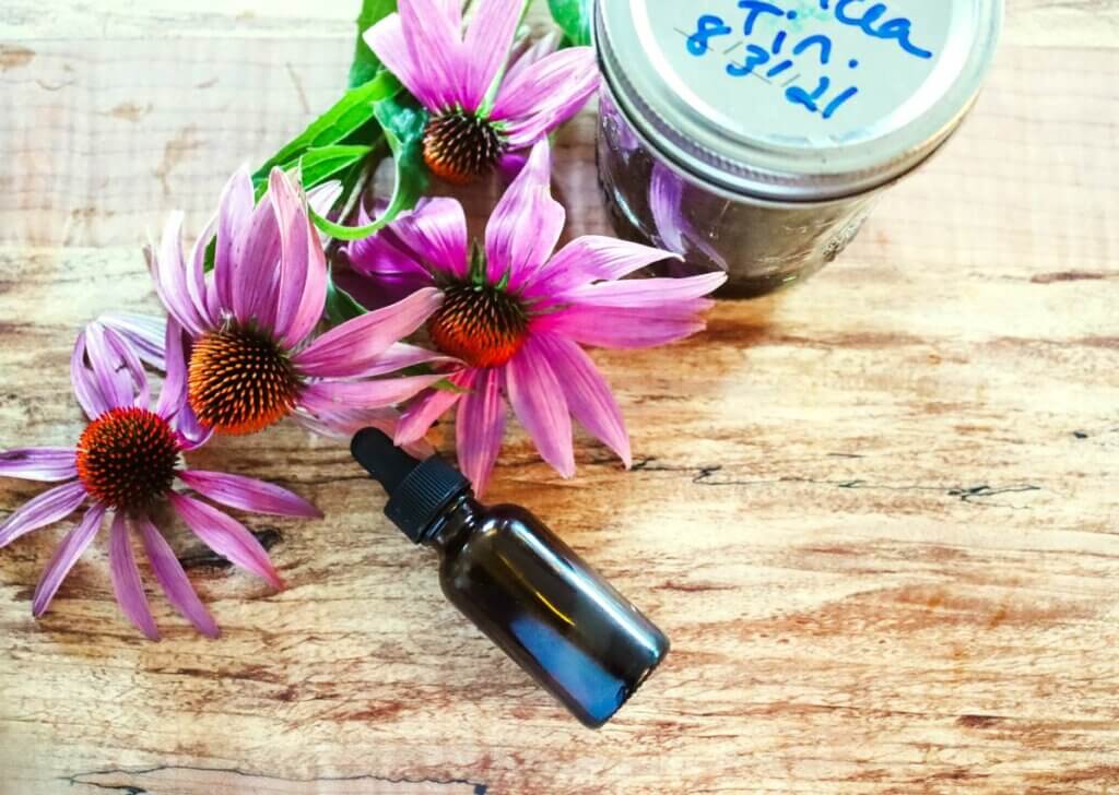 Echinacea flowers and a tincture bottle sitting on a wooden counter top.