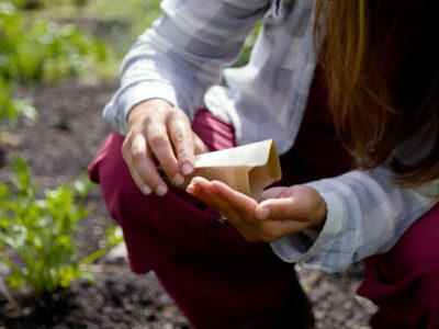 A woman dumping seeds from a packet into her hand.