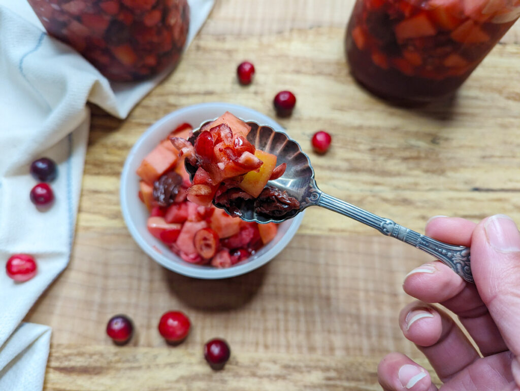 Fermented cranberry sauce on a spoon.