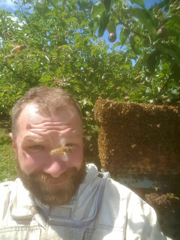 Man in front of honey bee hive in forest