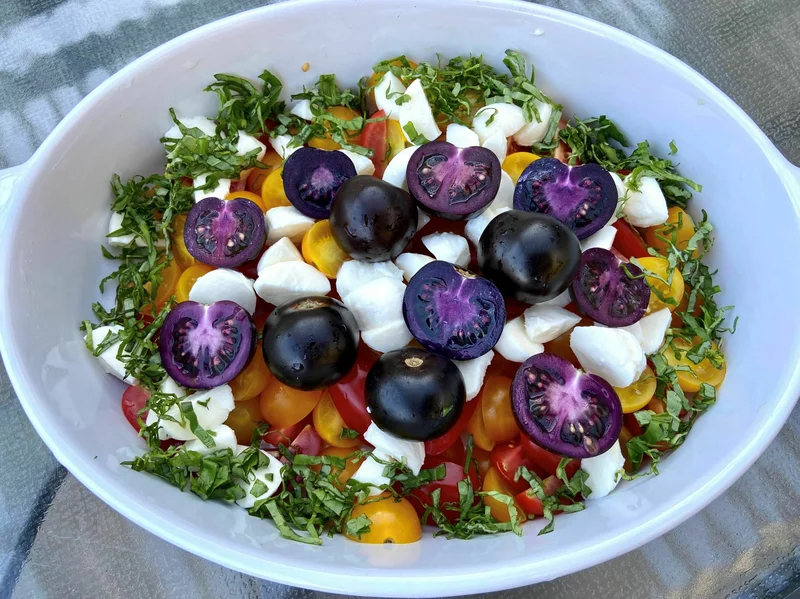 A caprese salad with purple tomatoes on top.