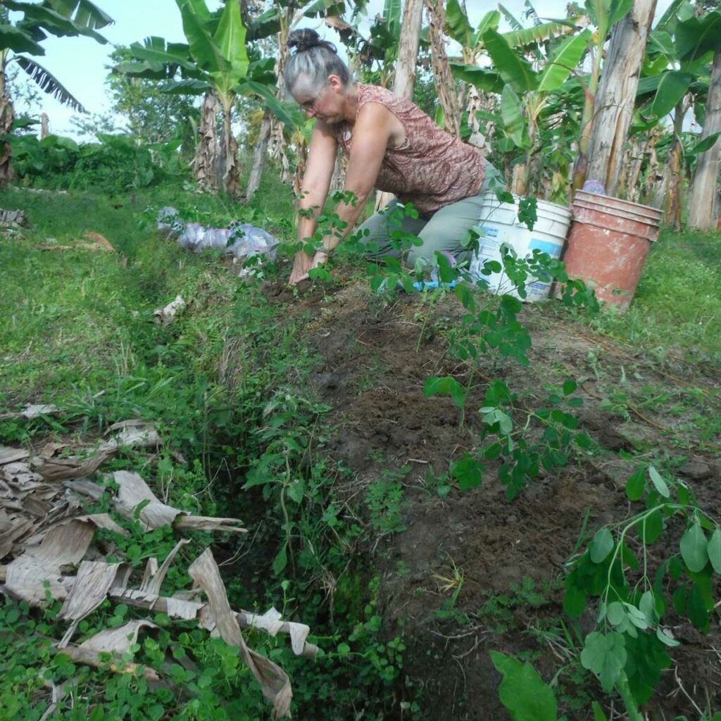 A woman planting rows of forage.