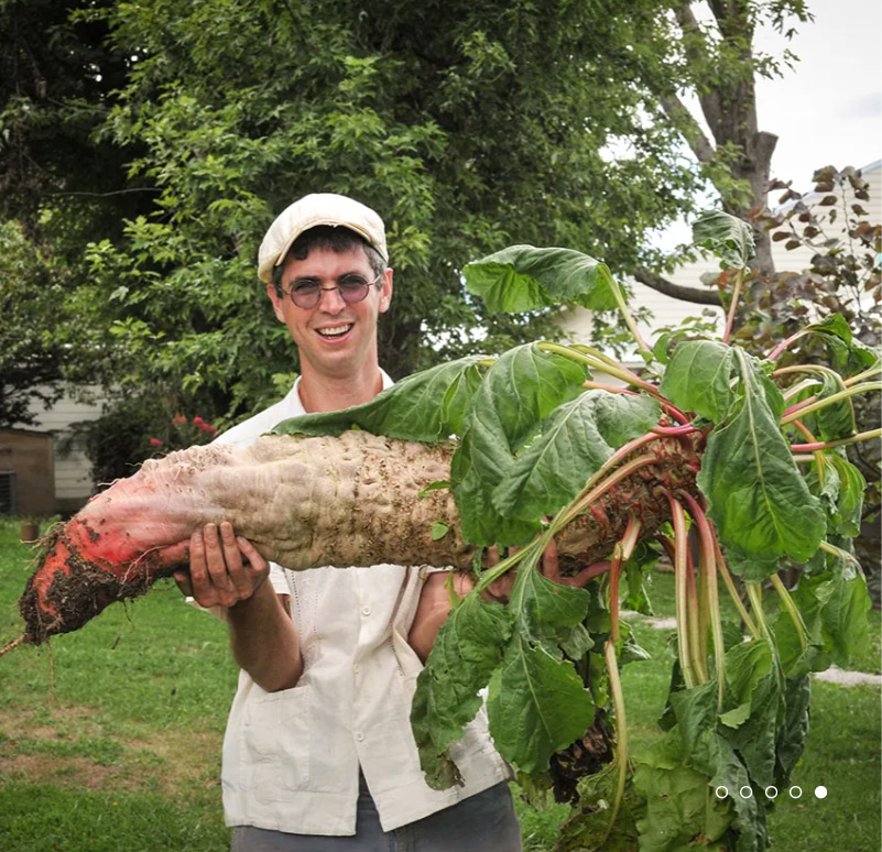 A man holding up a giant Mangel Beet.