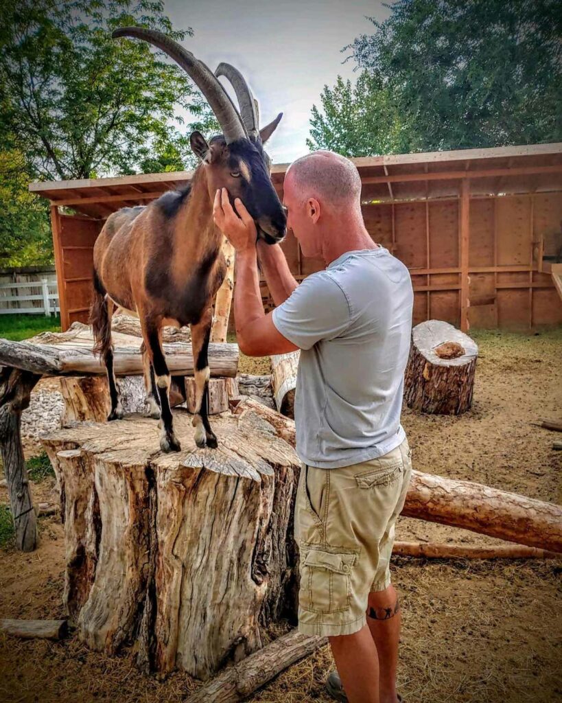 A man petting a goat standing on a stump.