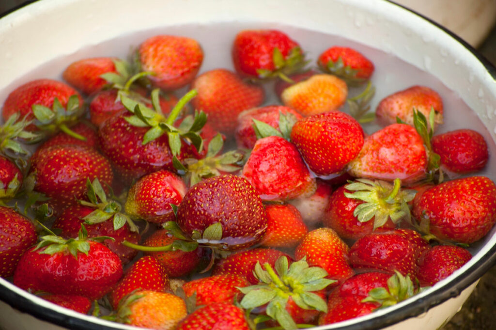 Fresh strawberries soaking in vinegar water.