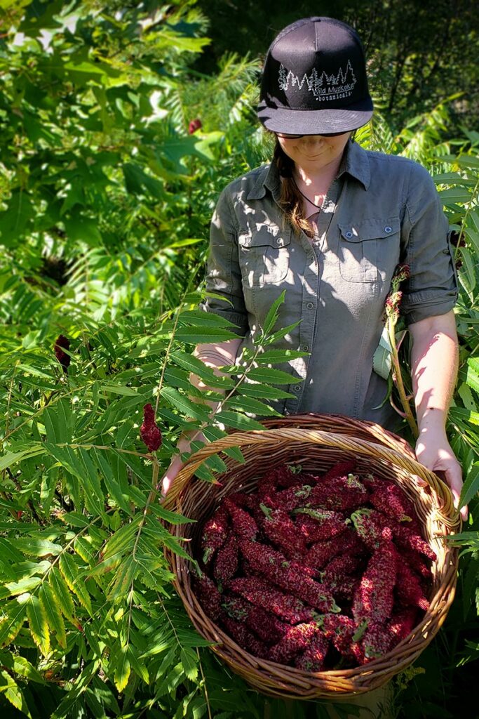 A woman harvesting a basket of flowers.