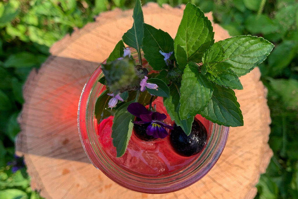 A beautiful herbal elixir with mint and blueberry garnish.