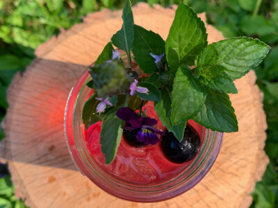 A beautiful herbal elixir with mint and blueberry garnish.