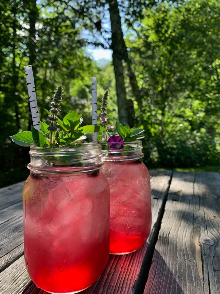 Two herbal drinks with mint garnish.