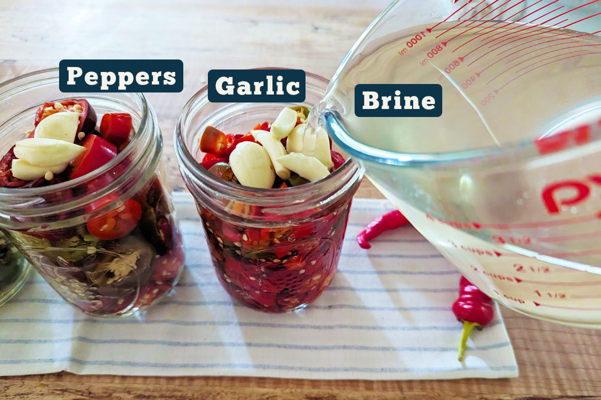 Fermented peppers ingredients: peppers, garlic, and brine.