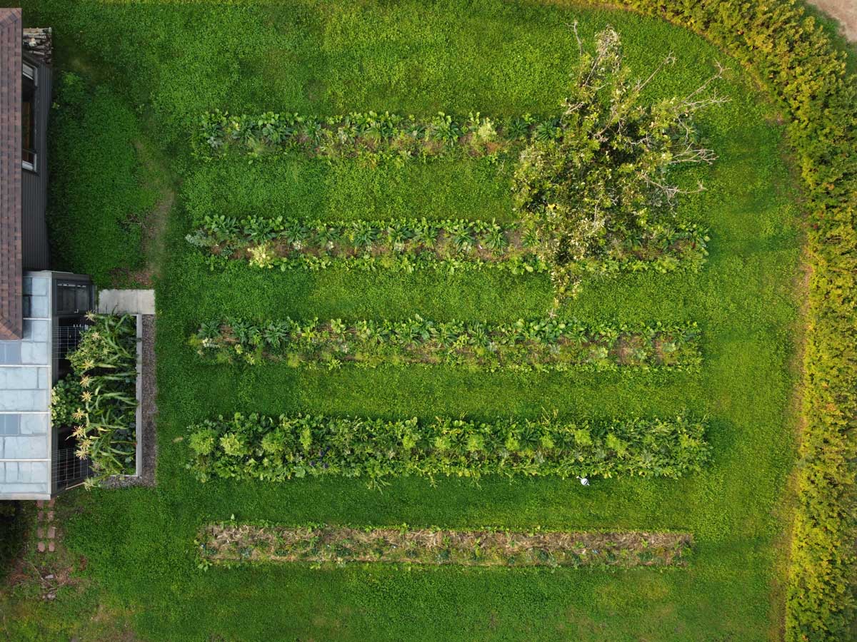 Overhead view of a food forest garden.