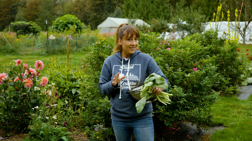 A woman harvesting mullein leaves from the garden.