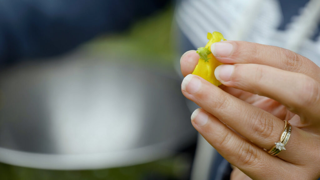 A woman's hand holding a mullein flower.