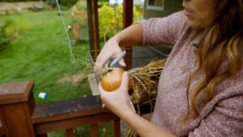 A woman cutting off the roots of an onion.