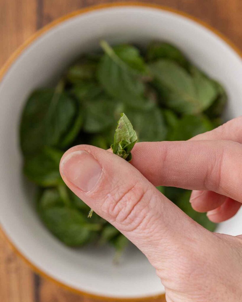 A hand rolling mint leaves between thumb and forefinger.
