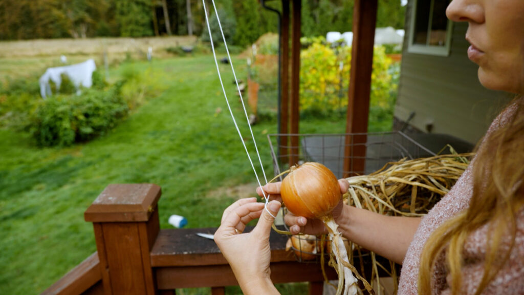 A woman stringing an onion for long-term storage.