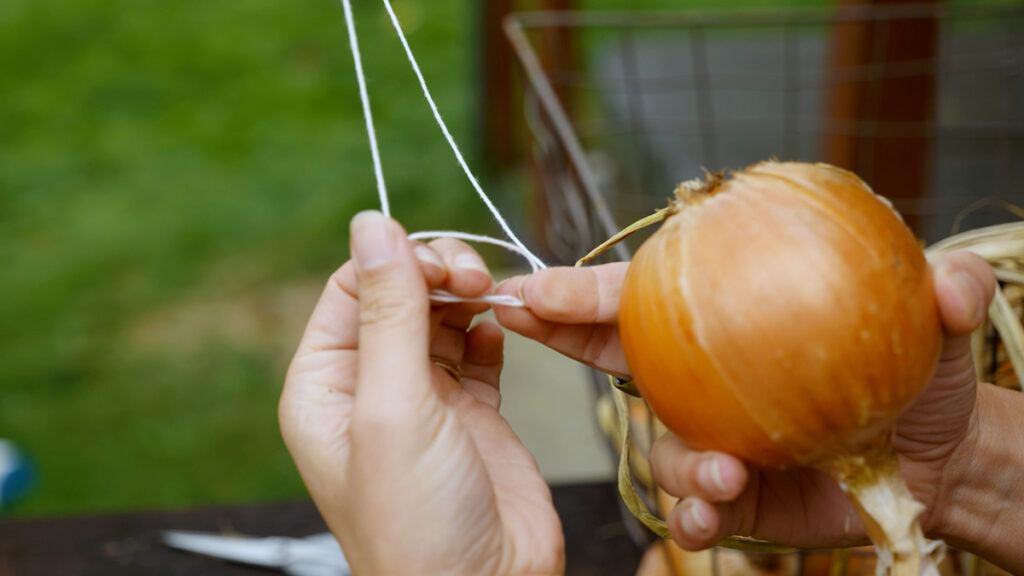 A woman stringing an onion for long-term storage.