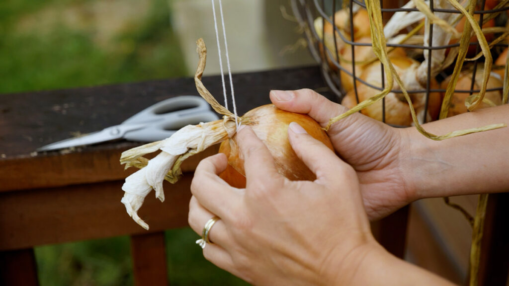 A woman stringing an onion for long-term storage.