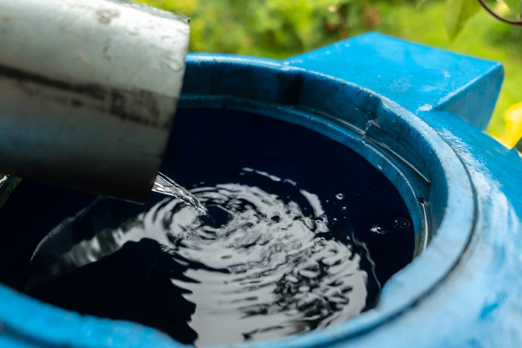 Rainwater catchment system.