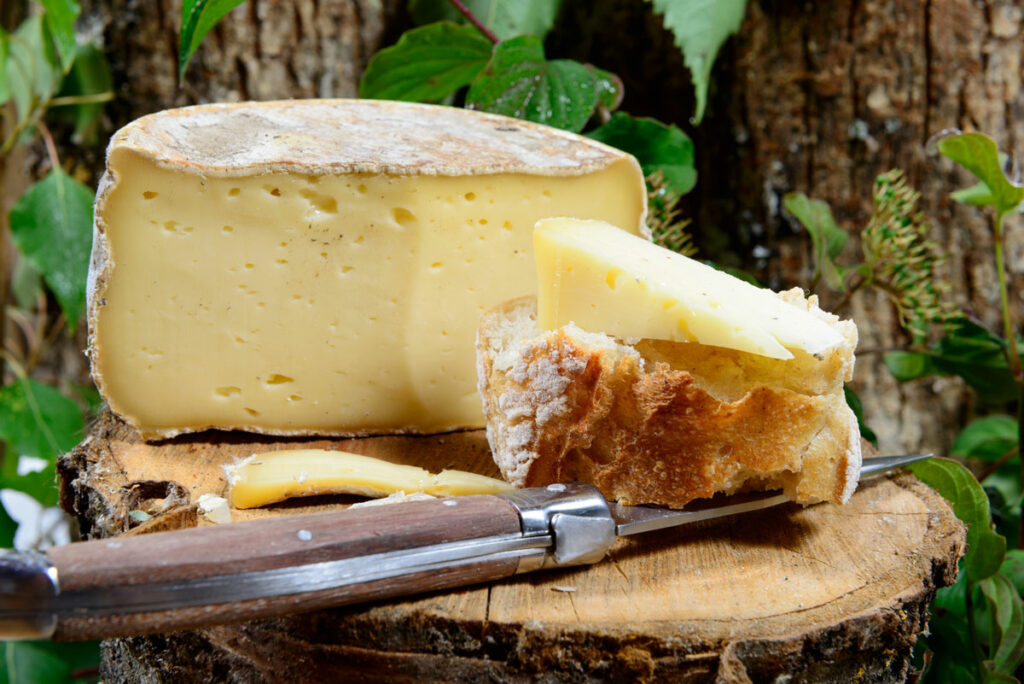 Italian Tomme cheese sliced on a wooden cutting board.