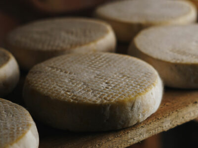 Wheels of cheese on a wooden shelf.