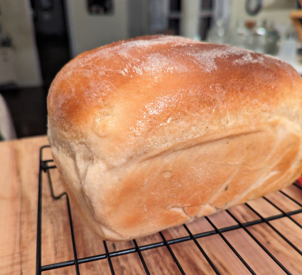 Loaf of homemade sourdough bread.