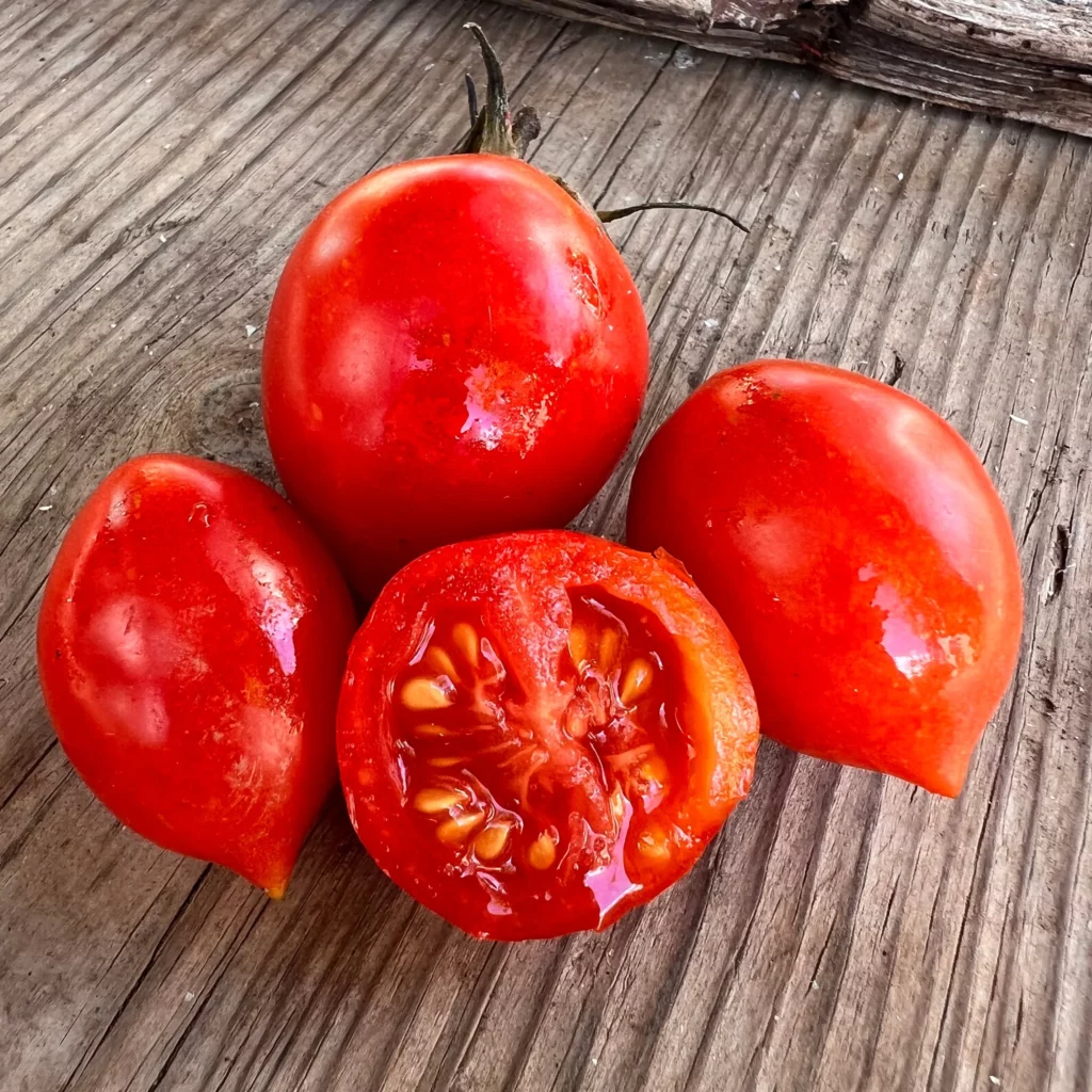 Storage tomato variety.