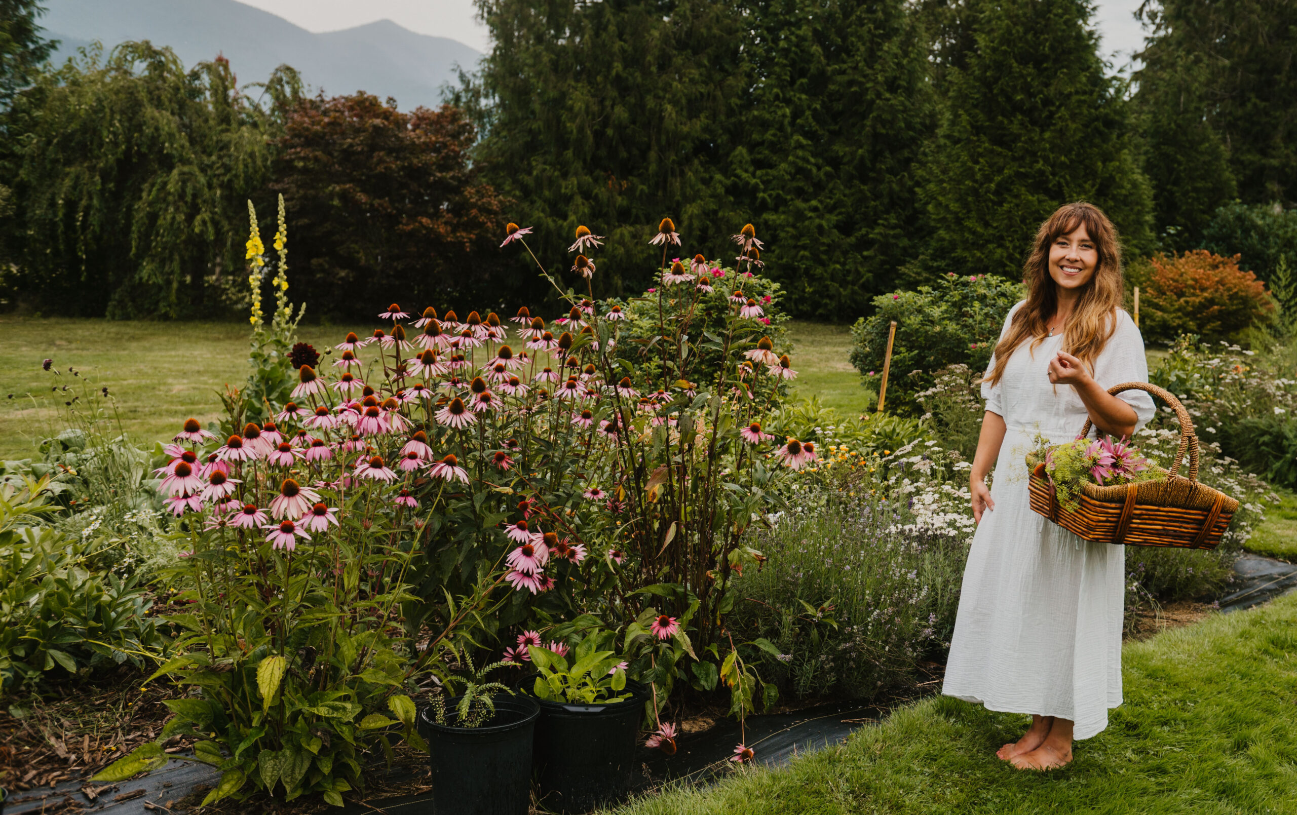 Woman barefoot in herb garden holding a basket of freshly harvested flowering herbs