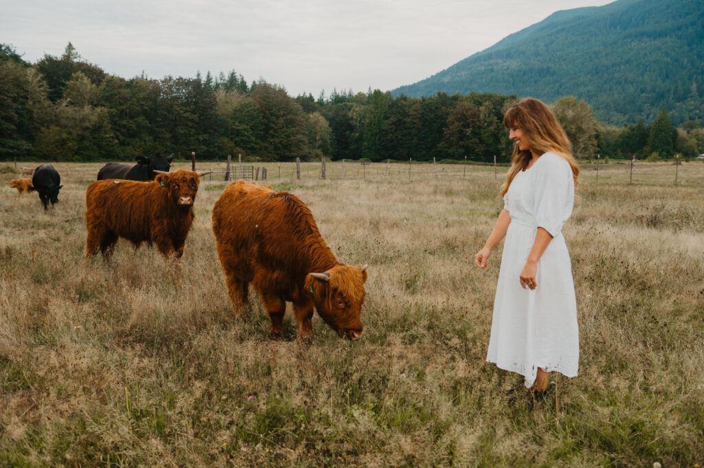 A woman in a white dress standing in a field with cows.