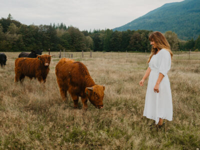 A woman in a white dress standing in a field with cows.