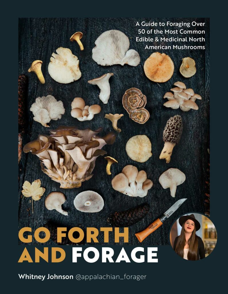 The book cover for Go Forth and Forage.