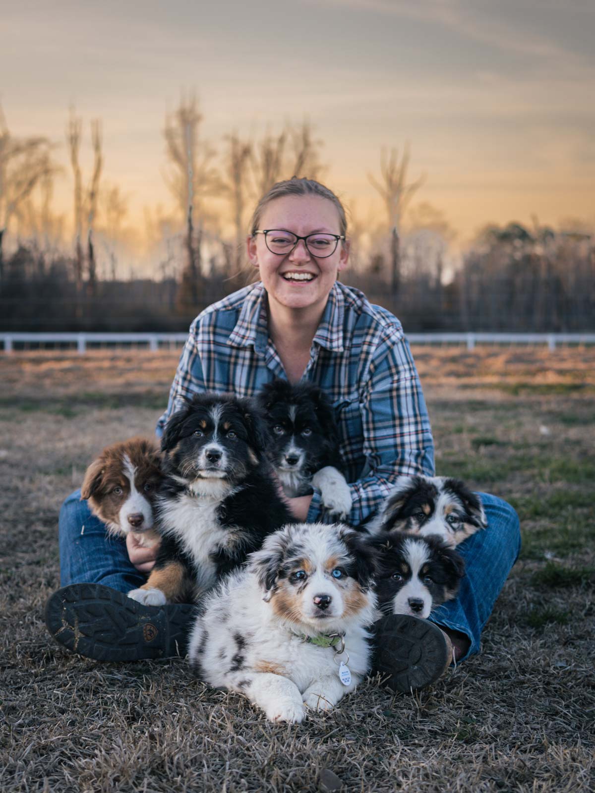 A woman with a lap of herding puppies.