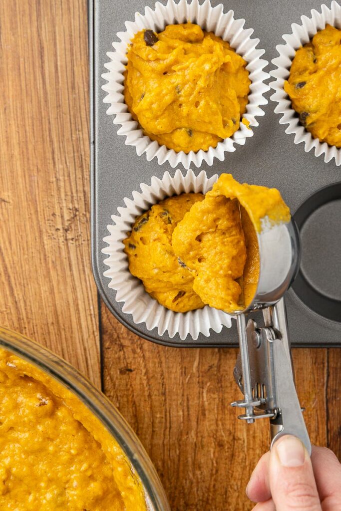 A cookie scoop filling a muffin tin with pumpkin chocolate chip muffin batter.
