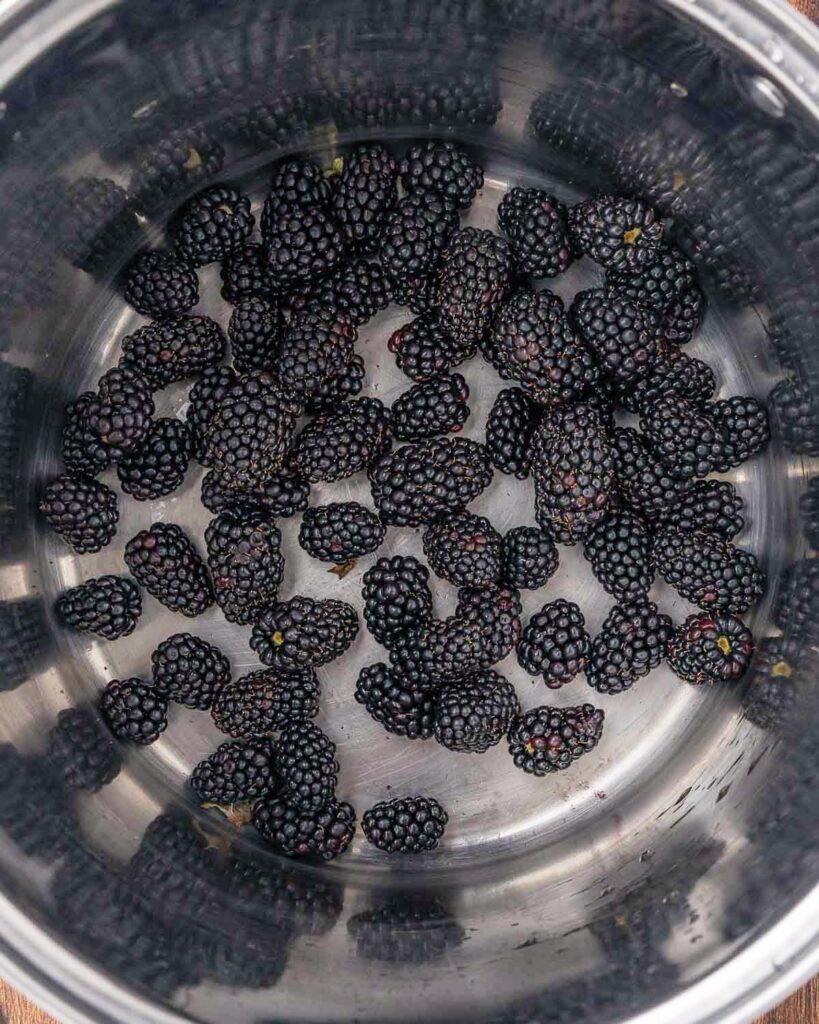 Blackberries in a stainless steel pot.