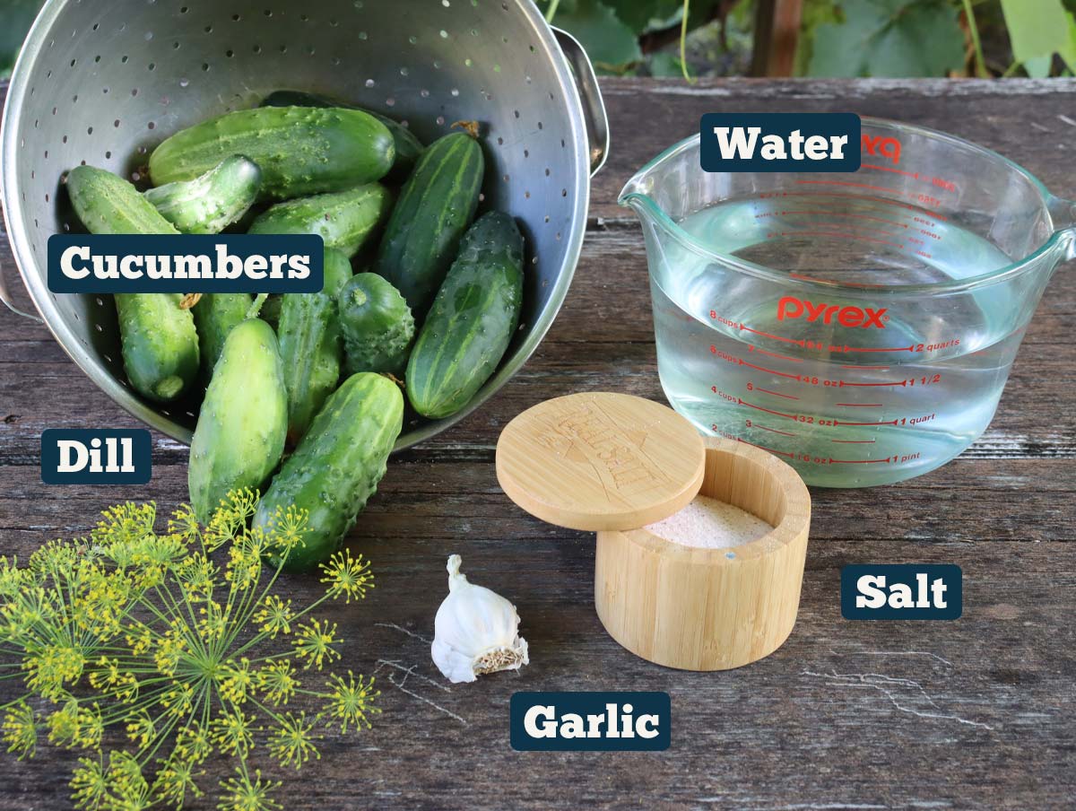 Fermented pickles ingredients: cucumbers, water, garlic, salt, and fresh dill.