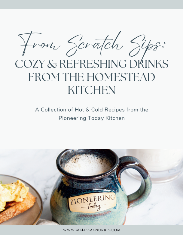 🧢☕ The Homestead On-the-Go Bundle - Image 6