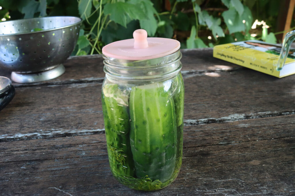 A jar full of fermented pickles.