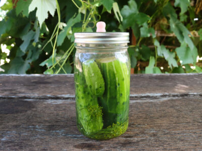 A jar of fermented pickles sitting on an outdoor table.