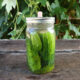 A jar of fermented pickles sitting on an outdoor table.