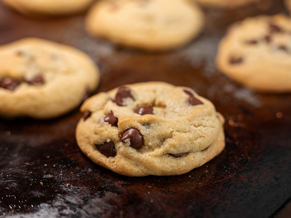 Chocolate chip cookies on a baking tray.