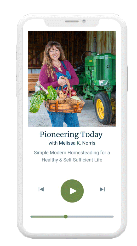 Podcast player on a phone.