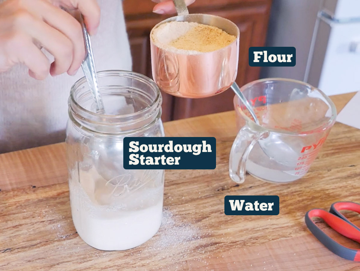 Reviving a sourdough starter ingredients: sourdough starter, flour, and water.