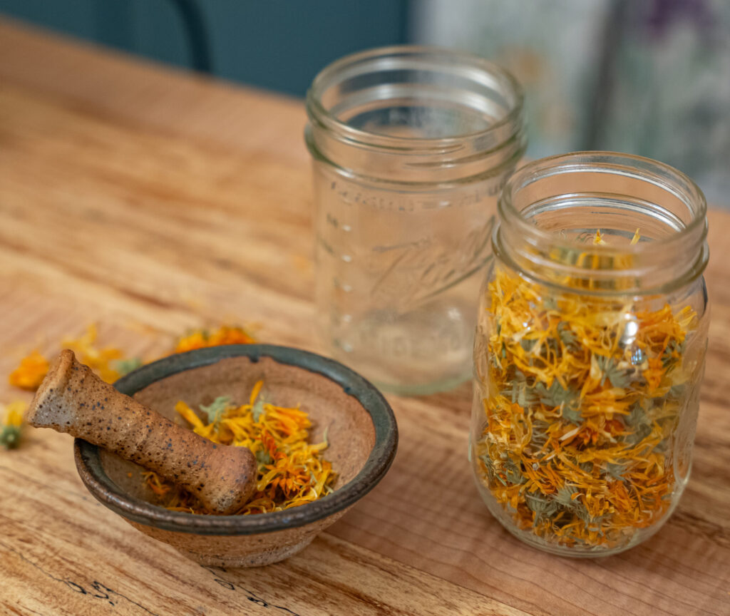 a jar of dried calendula on a kitchen counter with a mortar and pestal with calendula petals inside it