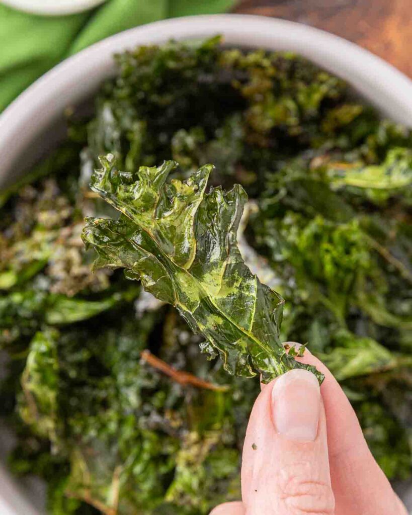 A hand holding a baked kale chip to show texture.