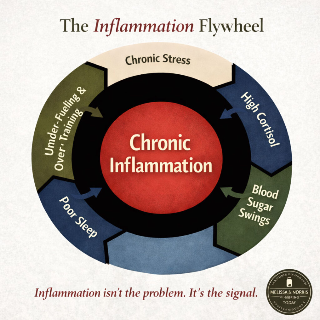 A Flywheel graphic about inflammation in the body.