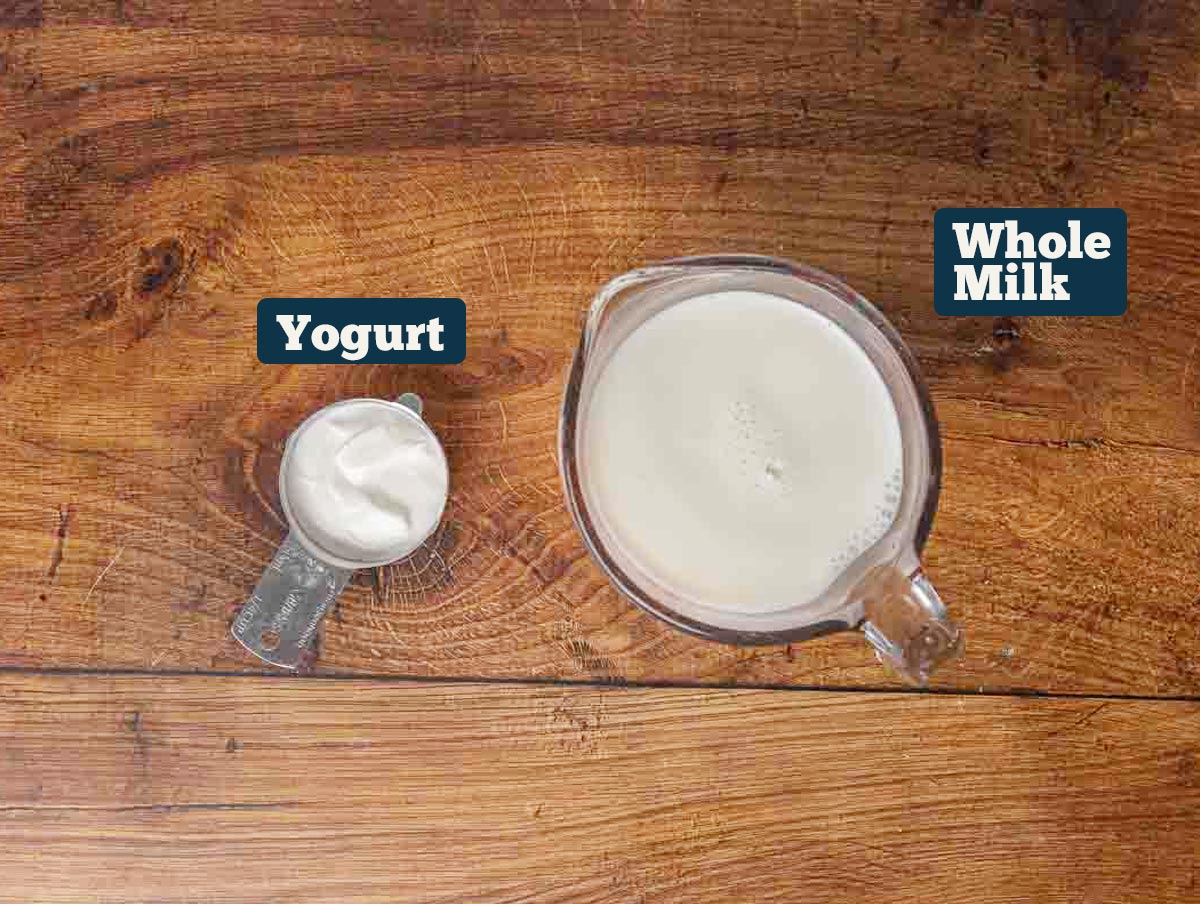 Homemade yogurt ingredients: Milk and yogurt.